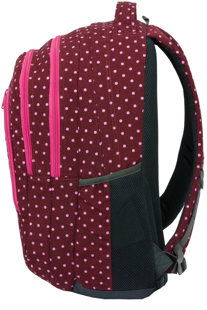 WHOOSH! SCHOOL Pink Dots
